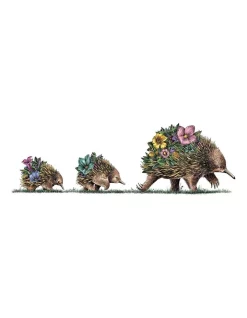Hot Sale ???? Maxwell & Williams Marini Ferlazzo Australian Families Echidna & Puggles 50x70cm Tea Towel White ????
