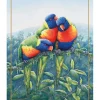Brand new ???? Maxwell & Williams Birds Of Australia KC 10yr Anniversary 50x70cm Tea Towel Lorikeet Print ???? -Maxwell & Williams shop unnamed file 43
