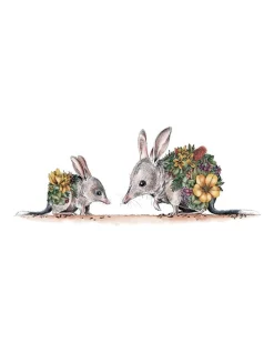 Buy ???? Maxwell & Williams Marini Ferlazzo Australian Families Bilby & Joey 50x70cm Tea Towel White ????