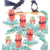 Top 10 ???? Maxwell & Williams Royal Botanic Gardens Victoria Garden Friends 50x70cm Tea Towel Willy Wagtail Print ???? -Maxwell & Williams shop unnamed file 80