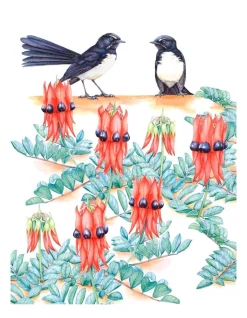 Top 10 ???? Maxwell & Williams Royal Botanic Gardens Victoria Garden Friends 50x70cm Tea Towel Willy Wagtail Print ????