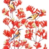 Best reviews of ???? Maxwell & Williams Royal Botanic Gardens Victoria Garden Friends 50x70cm Tea Towel Spinebill Print ???? 1 Best reviews of ???? Maxwell & Williams Royal Botanic Gardens Victoria Garden Friends 50x70cm Tea Towel Spinebill Print ???? -Maxwell & Williams shop unnamed file 81