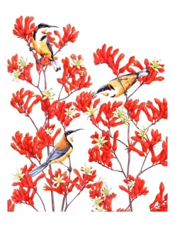 Best reviews of ???? Maxwell & Williams Royal Botanic Gardens Victoria Garden Friends 50x70cm Tea Towel Spinebill Print ????