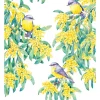Cheap ???? Maxwell & Williams Royal Botanic Gardens Victoria Garden Friends 50x70cm Tea Towel Robin White Print ⭐