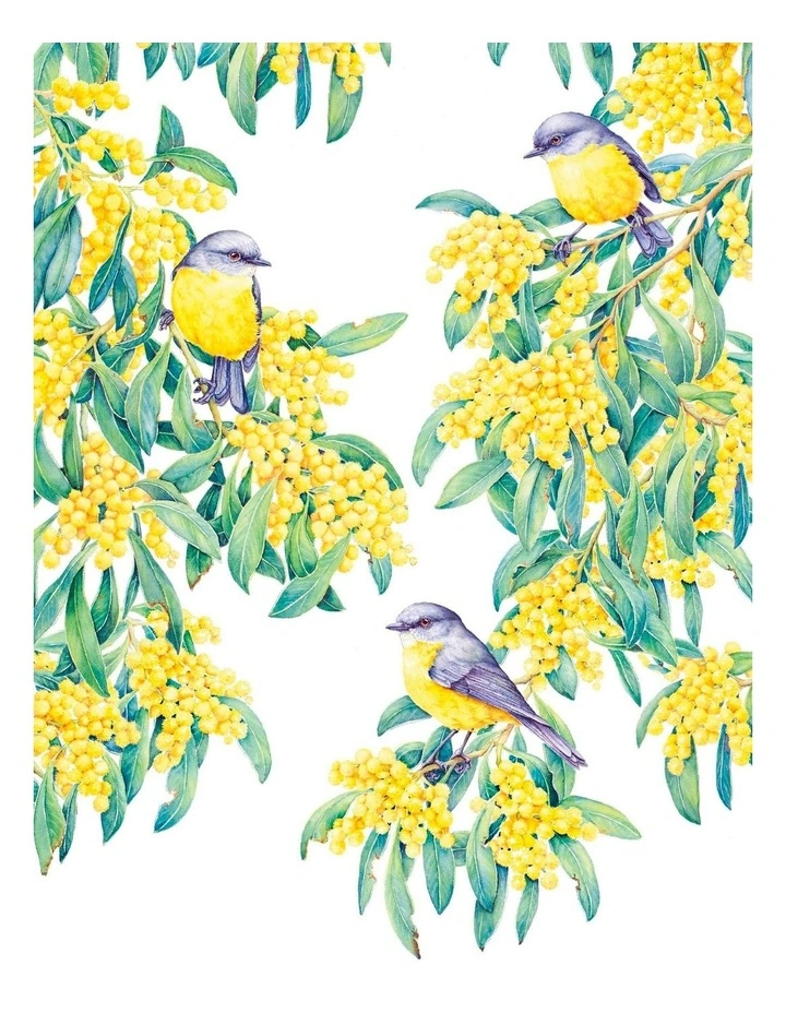 Cheap ???? Maxwell & Williams Royal Botanic Gardens Victoria Garden Friends 50x70cm Tea Towel Robin White Print ⭐ 3 Cheap ???? Maxwell & Williams Royal Botanic Gardens Victoria Garden Friends 50x70cm Tea Towel Robin White Print ⭐