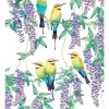 Buy ???? Maxwell & Williams Royal Botanic Gardens Victoria Garden Friends 50x70cm Tea Towel Rainbow Bee-Eater Print ????