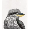 Best Pirce ???? Maxwell & Williams Marini Ferlazzo Birds Kookaburra 50x70cm Tea Towel ???? 1 Best Pirce ???? Maxwell & Williams Marini Ferlazzo Birds Kookaburra 50x70cm Tea Towel ???? -Maxwell & Williams shop unnamed file 92