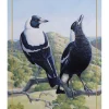 Buy ???? Maxwell & Williams Birds Of Australia KC 10yr Anniversary 50x70cm Tea Towel Magpie Print ✔️