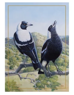 Buy ???? Maxwell & Williams Birds Of Australia KC 10yr Anniversary 50x70cm Tea Towel Magpie Print ✔️