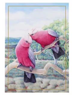 Best Sale ???? Maxwell & Williams Birds Of Australia KC 10yr Anniversary 50x70cm Tea Towel Galah Print ????
